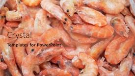  Presentation with shrimp fish - PPT theme having frozen-shrimp-in-fridge background and a coral colored foreground