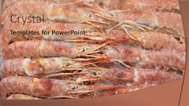  Presentation with shrimp fish - PPT theme with frozen-shrimp-in-fridge background and a  colored foreground
