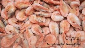  Presentation with shrimp fish - Presentation featuring frozen-shrimp-in-fridge background and a coral colored foreground