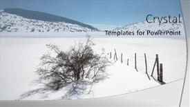  Presentation with frozen - Presentation design having frozen-trearie-lake-in-winter background and a light blue colored foreground