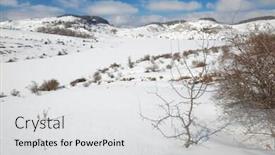  Presentation with frozen - Audience pleasing presentation theme consisting of frozen-trearie-lake-in-winter backdrop and a light gray colored foreground