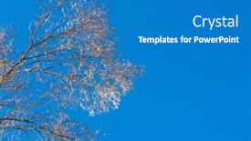  Presentation with winter blue - 