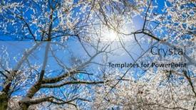  Presentation with winter blue - 