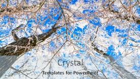  Presentation with winter blue - 