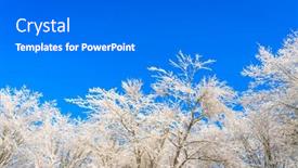  Presentation with winter blue - 