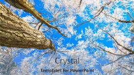  Presentation with winter blue - 