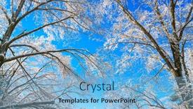  Presentation with winter blue - 