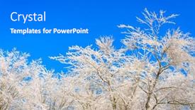  Presentation with winter blue - 