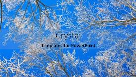  Presentation with winter blue - 