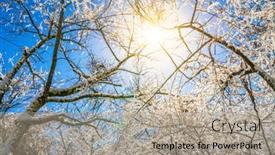  Presentation with frozen - 