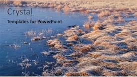  Presentation with wetland - PPT layouts having frozen-wetland-with-frost-along background and a teal colored foreground