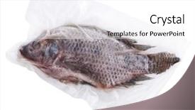 Presentation with frozen fish - Amazing theme having frozen whole fish backdrop and a white colored foreground