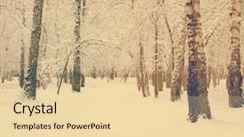  Presentation with woods - Slides with christmas tree forest - frozen woods covered with snow background and a  colored foreground