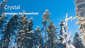  Presentation with glow - Amazing theme having frozen-woods-frosty-glow backdrop and a teal colored foreground