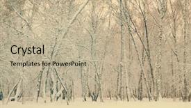  Presentation with woods - Audience pleasing slides consisting of frozen woods under snow retro filtered instagram style backdrop and a mint green colored foreground