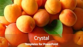  Presentation with fructose - PPT theme consisting of fructose - fresh apricots as background background and a crimson colored foreground