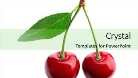  Presentation with fructose - Audience pleasing PPT layouts consisting of fructose - fresh sweet cherries on white backdrop and a seafoam green colored foreground