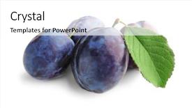  Presentation with ripe golden potato on white - Beautiful theme featuring fructose - ripe plums on white background backdrop and a  colored foreground