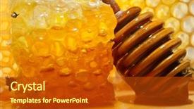  Presentation with fructose - Amazing PPT theme having fructose syrup - golden honey backdrop and a crimson colored foreground