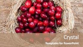  Presentation with engineering red circuit board - Presentation theme with cranberry fruit - bird's nest filled with fresh background and a  colored foreground