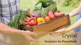  Presentation with giving - Presentation design consisting of fruit - farmer giving box of veg background and a coral colored foreground