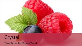  Presentation with blueberry - Colorful slides enhanced with fruit - raspberry with blueberry backdrop and a red colored foreground