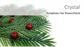  Presentation with green leaf - Slide set having fruit-and-green-leaf background and a white colored foreground