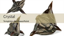  Presentation with fruit water - Cool new theme with fruit bats - water caltrop trapa natans horny backdrop and a coral colored foreground