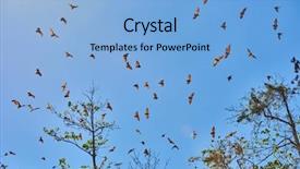  Presentation with philippines - Beautiful PPT layouts featuring fruit bats flying palawan philippines backdrop and a light blue colored foreground