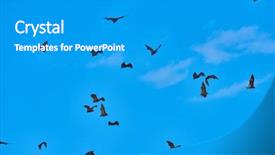  Presentation with philippines - Presentation theme consisting of fruit bats flying palawan philippines background and a gray colored foreground