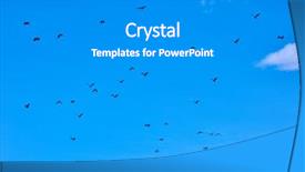  Presentation with philippines - Presentation design having fruit bats flying palawan philippines background and a gray colored foreground