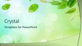  Presentation with spirit - Presentation theme consisting of fruit cocktails on black background background and a cool aqua colored foreground