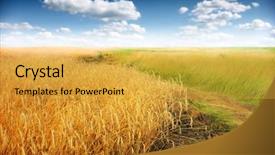  Presentation with summer wheat field blue - Audience pleasing PPT theme consisting of fruit farm - wheat field against a blue backdrop and a  colored foreground