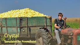  Presentation with agriculture business - Audience pleasing theme consisting of fruit farm - young agriculture worker with fresh backdrop and a tawny brown colored foreground