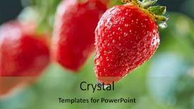  Presentation with vitamin - Cool new presentation design with fruit farming - closeup of green stem backdrop and a seafoam green colored foreground