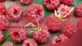  Presentation with delicious in memory - Presentation theme with fruit farming - some fresh picked delicious raspberries background and a  colored foreground