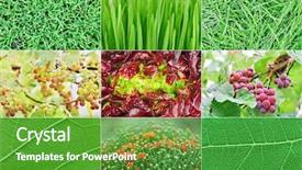  Presentation with green industries plant - Slides featuring fruit flower - collection of fresh green nature background and a tawny brown colored foreground