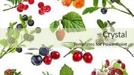  Presentation with wild flower - Cool new slides with fruit flower - collection set of wild forest backdrop and a soft green colored foreground