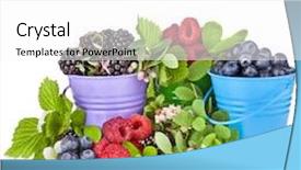  Presentation with berries - Colorful PPT layouts enhanced with fruit flower - different forest berries in colorful backdrop and a white colored foreground