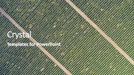  Presentation with vineyards - Slide set featuring fruit fly - aerial top view on extensive background and a gray colored foreground