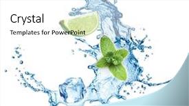  Presentation with water on leaf - PPT theme having fruit fly - ice cubes mint leaves water background and a white colored foreground