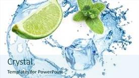  Presentation with water on leaf - Amazing PPT layouts having fruit fly - ice cubes mint leaves water backdrop and a sky blue colored foreground