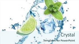  Presentation with water splash - Audience pleasing PPT layouts consisting of fruit fly - ice cubes mint leaves water backdrop and a sky blue colored foreground