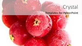  Presentation with frozen fruit - PPT theme enhanced with fruit frozen in ice background and a white colored foreground