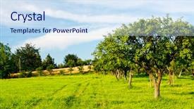  Presentation with orchard - PPT layouts consisting of fruit garden - apple orchard background and a sky blue colored foreground