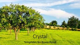  Presentation with garden - Beautiful PPT theme featuring fruit garden - country green landscape backdrop and a gold colored foreground