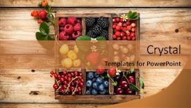  Presentation with vintage food - Presentation design featuring fruit garden - mix of fresh berries background and a coral colored foreground