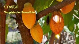  Presentation with fruit tree - Audience pleasing PPT layouts consisting of fruit hanging on the tree backdrop and a tawny brown colored foreground