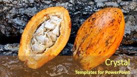  Presentation with fruit tree - PPT layouts featuring fruit hanging on the tree background and a tawny brown colored foreground