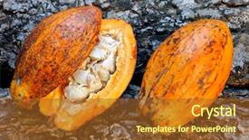  Presentation with fruit tree - Cool new slides with fruit hanging on the tree backdrop and a tawny brown colored foreground